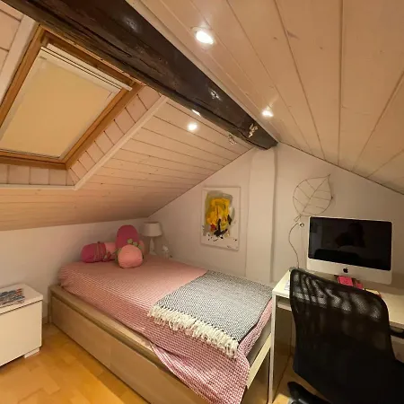Casa Delle Stelle Apartment Ascona